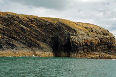 Kıyı - Yunus turu, Carrigaholt, co clare, İrlanda