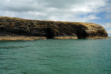 Kıyı - Yunus turu, Carrigaholt, co clare, İrlanda