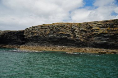 Kıyı - Yunus turu, Carrigaholt, co clare, İrlanda