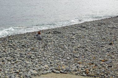 Kilkee Sahili, Kilkee köyünde taştan bir plajdır..