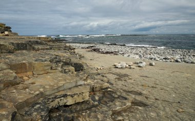 Kilkee Sahili, Kilkee köyünde taştan bir plajdır..