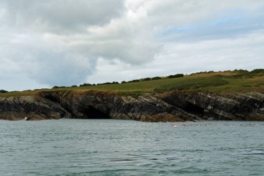 Kıyı - Yunus turu, Carrigaholt, co clare, İrlanda