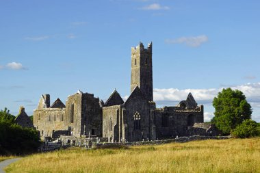 Quin Friary, İrlanda 'nın Quin, County Clare eyaletinde yer alan eski bir Fransisken manastırıdır. Genel olarak 