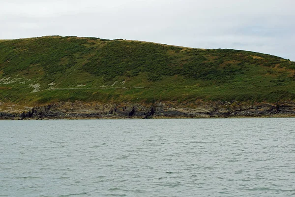 Kıyı Yunus Turu Carrigaholt Clare Rlanda — Stok fotoğraf