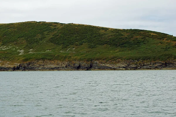 Kıyı - Yunus turu, Carrigaholt, co clare, İrlanda