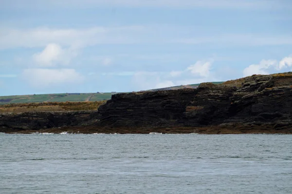 Küste Delfintour Carrigaholt Clare Irland — Stockfoto