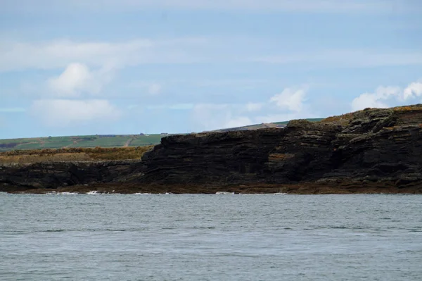 Kıyı - Yunus turu, Carrigaholt, co clare, İrlanda