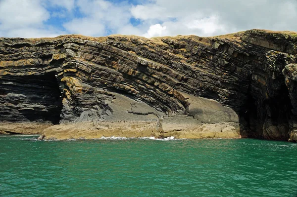 Kıyı - Yunus turu, Carrigaholt, co clare, İrlanda