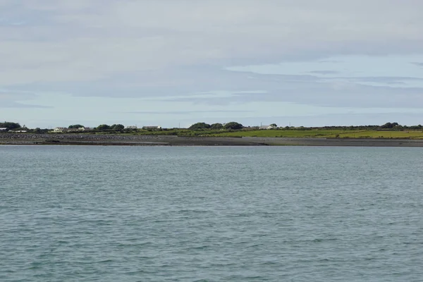 Delfinturné Carrigaholt Clare Irland — Stockfoto