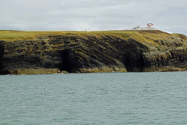 Küste Delfintour Carrigaholt Clare Irland — Stockfoto