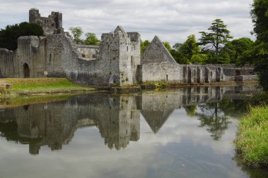 Desmond Şatosu Adare köyünün kıyısında, N21 'in hemen dışında ana Limerick' ten Kerry yoluna kadar..