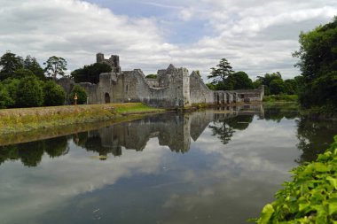 The Desmond Castle is located on the edge of the village of Adare, just off the N21 on the main Limerick to Kerry road. clipart