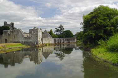 The Desmond Castle is located on the edge of the village of Adare, just off the N21 on the main Limerick to Kerry road. clipart