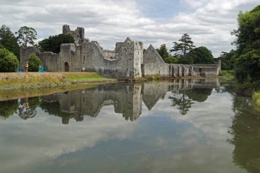 Desmond Şatosu Adare köyünün kıyısında, N21 'in hemen dışında ana Limerick' ten Kerry yoluna kadar..