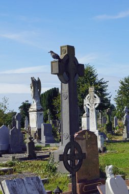 Tralee 'deki Eski Rath Mezarlığı