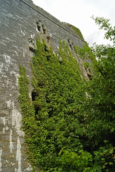 ドロモア城 Dromore Castle アイルランドのケリー州テンプレーノにある邸宅で ケンメア川を見下ろす — ストック写真