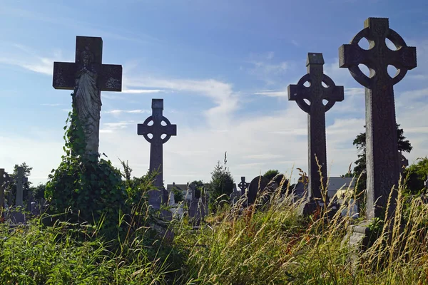 Old Rath Cemetery Tralee — Stock Photo, Image