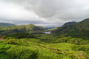 Ladies View, Killarney 'den 19 kilometre uzakta İrlanda' daki Killarney Milli Parkı 'nda, N71' den Kenmare 'a kadar uzanan Kerry Çemberi' nin manzaralı bir manzarasıdır..