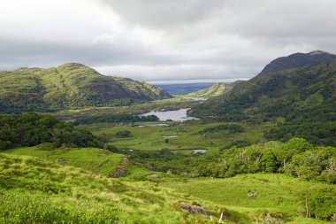 Ladies View, Killarney 'den 19 kilometre uzakta İrlanda' daki Killarney Milli Parkı 'nda, N71' den Kenmare 'a kadar uzanan Kerry Çemberi' nin manzaralı bir manzarasıdır..