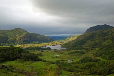 Ladies View, Killarney 'den 19 kilometre uzakta İrlanda' daki Killarney Milli Parkı 'nda, N71' den Kenmare 'a kadar uzanan Kerry Çemberi' nin manzaralı bir manzarasıdır..