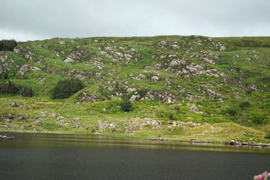 Ladies View, Killarney 'den 19 kilometre uzakta İrlanda' daki Killarney Milli Parkı 'nda, N71' den Kenmare 'a kadar uzanan Kerry Çemberi' nin manzaralı bir manzarasıdır..