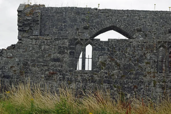 Ruinas Del Antiguo Monasterio Franciscano Askeaton Río Deel — Foto de Stock