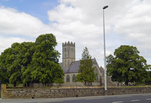 Adare Friary Iers Adare Friary Een Augustinisch Klooster Gesticht 1316 — Stockfoto