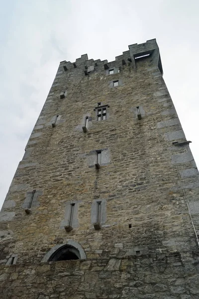 Zamek Ross Jest Zamkiem Irlandii Znajduje Się Pobliżu Killarney Półwyspie — Zdjęcie stockowe