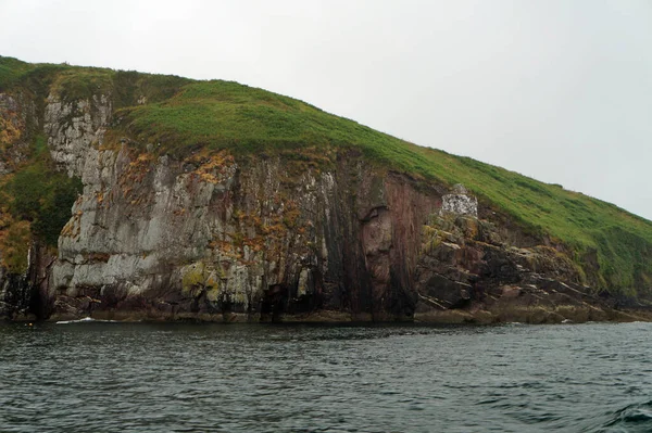 Delfinausflug Dingle Bay Dingle Peninsula Kerry Irland — Stockfoto