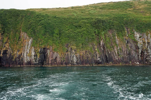 Dolphin Trip Dingle Bay Dingle Peninsula Kerry Irsko — Stock fotografie