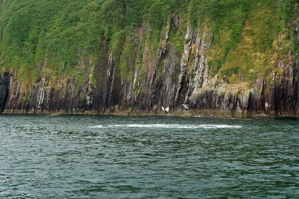 Delfinausflug Dingle Bay Dingle Peninsula Kerry Irland — Stockfoto
