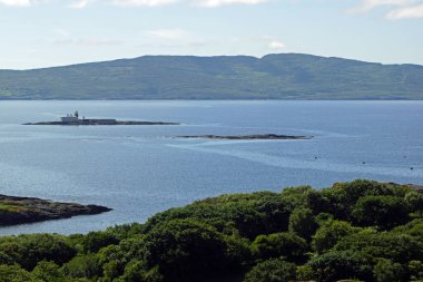 Roancarrig Deniz Feneri, Bantry Körfezi, Batı Mantar