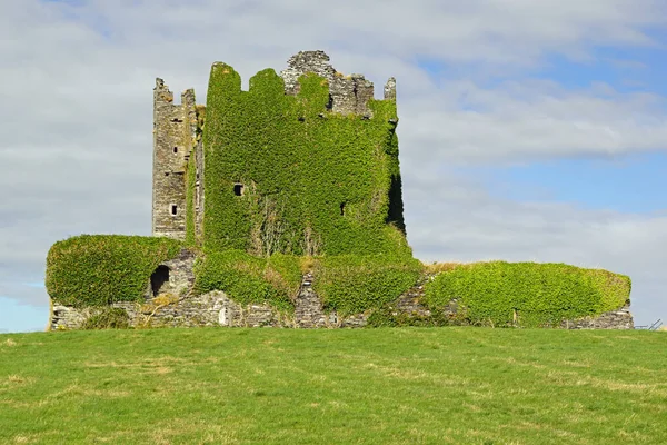 Ballycarbery Şatosu Cahersiveen Kerry County Rlanda Dan Uzaklıkta — Stok fotoğraf