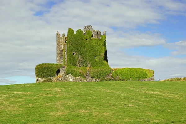 バリカーベリー城 Ballycarbery Castle アイルランド共和国ケリー郡カーシェヴィーンから3マイルの城である — ストック写真