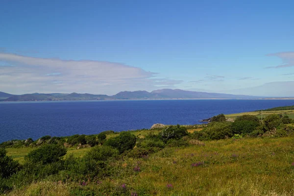 Ilha Verde Irlanda Vista Para Campo — Fotografia de Stock