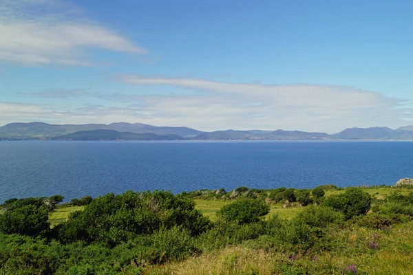 Green Island Ireland View Countryside — Stock Photo, Image