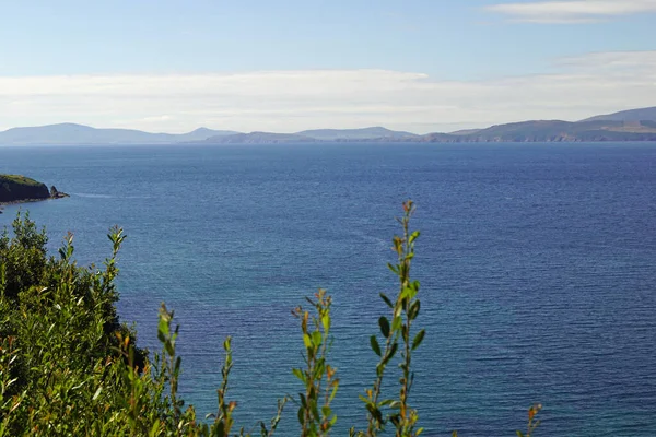 Ireland's coasts - wild cliffs enchanting nature. Ireland is full of beautiful landscapes where ever you look. The beauty of nature is hard to put into words.