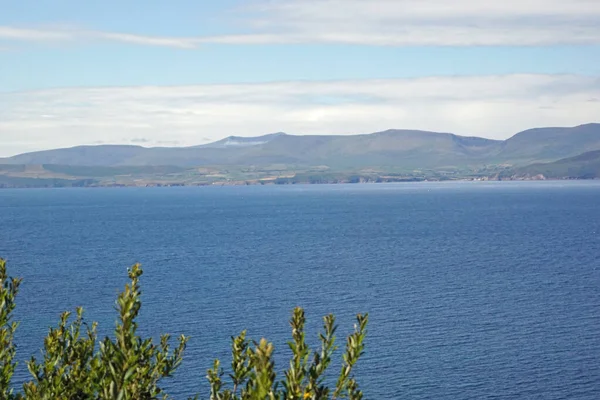 Ireland Coasts Wild Cliffs Enchanting Nature Ireland Full Beautiful Landscapes — Stock Photo, Image