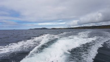 İrlanda sularında her yıl sayısız balina ve yunus türü havlıyor. Şimdiye kadar İrlanda açıklarında 24 deniz memelisi türü tespit edildi..