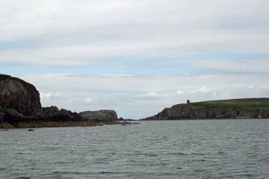 İrlanda sularında her yıl sayısız balina ve yunus türü havlıyor. Şimdiye kadar İrlanda açıklarında 24 deniz memelisi türü tespit edildi..