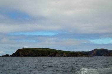 İrlanda sularında her yıl sayısız balina ve yunus türü havlıyor. Şimdiye kadar İrlanda açıklarında 24 deniz memelisi türü tespit edildi..