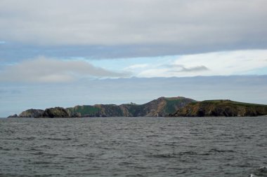 İrlanda sularında her yıl sayısız balina ve yunus türü havlıyor. Şimdiye kadar İrlanda açıklarında 24 deniz memelisi türü tespit edildi..