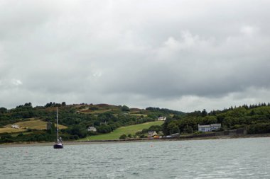 İrlanda sularında her yıl sayısız balina ve yunus türü havlıyor. Şimdiye kadar İrlanda açıklarında 24 deniz memelisi türü tespit edildi..