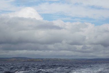 İrlanda sularında her yıl sayısız balina ve yunus türü havlıyor. Şimdiye kadar İrlanda açıklarında 24 deniz memelisi türü tespit edildi..