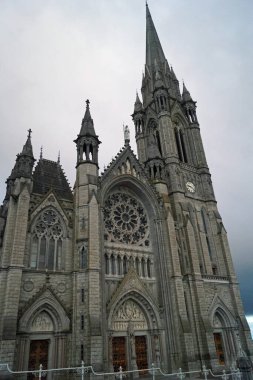 Saint Fin Barre Katedrali, İrlanda 'nın Cork şehrinde yer alan üç katedralli bir gotik uyanıştır. İrlanda Kilisesi 'ne ait ve 1879' da tamamlandı..