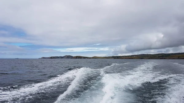 İrlanda sularında her yıl sayısız balina ve yunus türü havlıyor. Şimdiye kadar İrlanda açıklarında 24 deniz memelisi türü tespit edildi..
