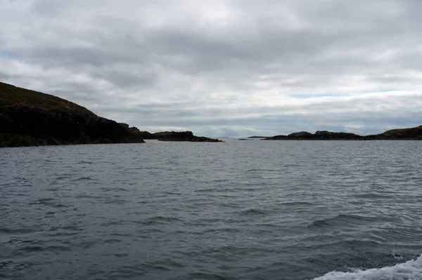 Ierse Wateren Worden Jaarlijks Talrijke Walvis Dolfijnensoorten Gecavorteerd Tot Dusver — Stockfoto