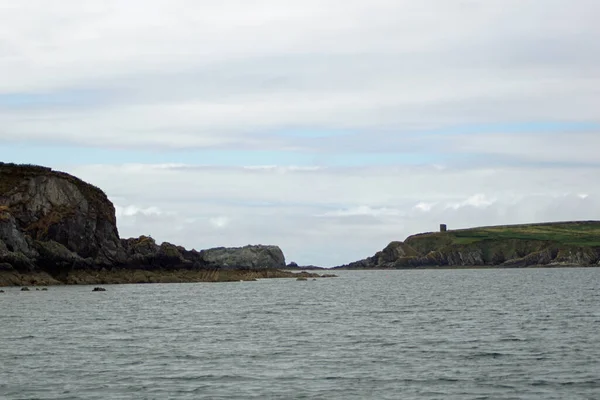 Στα Ιρλανδικά Ύδατα Κάθε Χρόνο Πολυάριθμα Είδη Φαλαινών Και Δελφινιών — Φωτογραφία Αρχείου