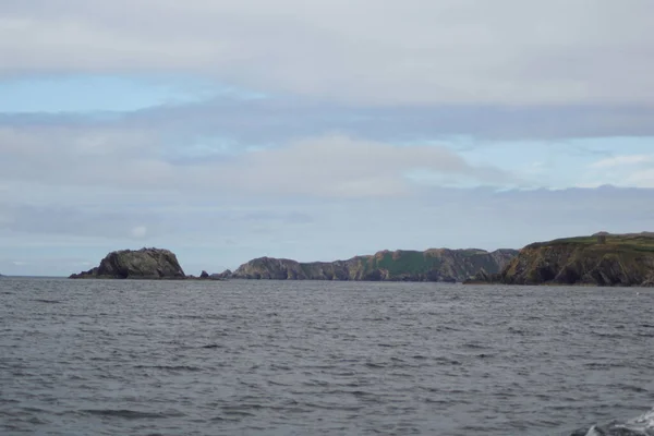 아일랜드 해역에서는 해마다 수많은 고래와 돌고래가 캐비테이션 지금까지 아일랜드 해안에서는 — 스톡 사진