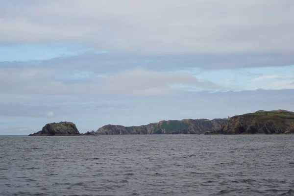 Den Irischen Gewässern Tummeln Sich Jedes Jahr Zahlreiche Wal Und — Stockfoto